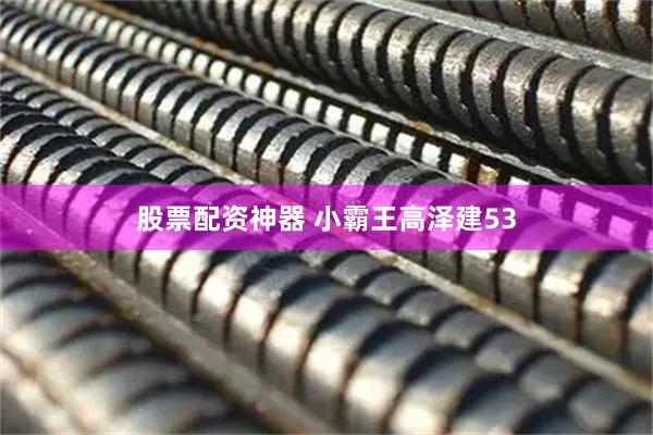 股票配资神器 小霸王高泽建53